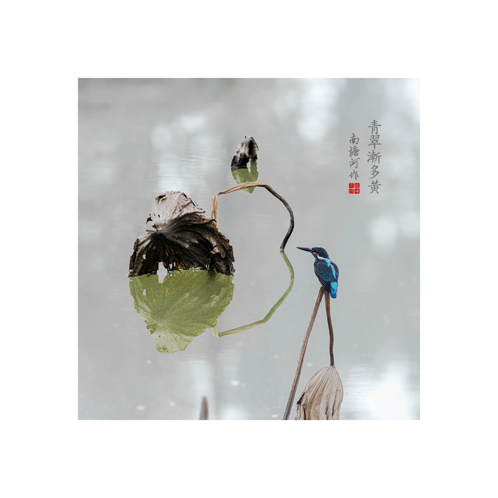 聆听