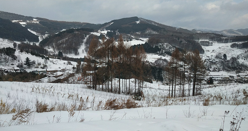 水墨丹青入画中