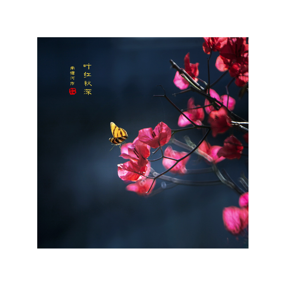 红叶知秋