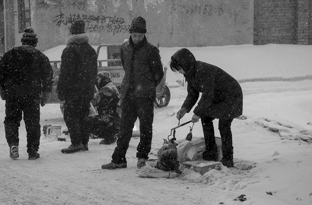 雪中路边随拍