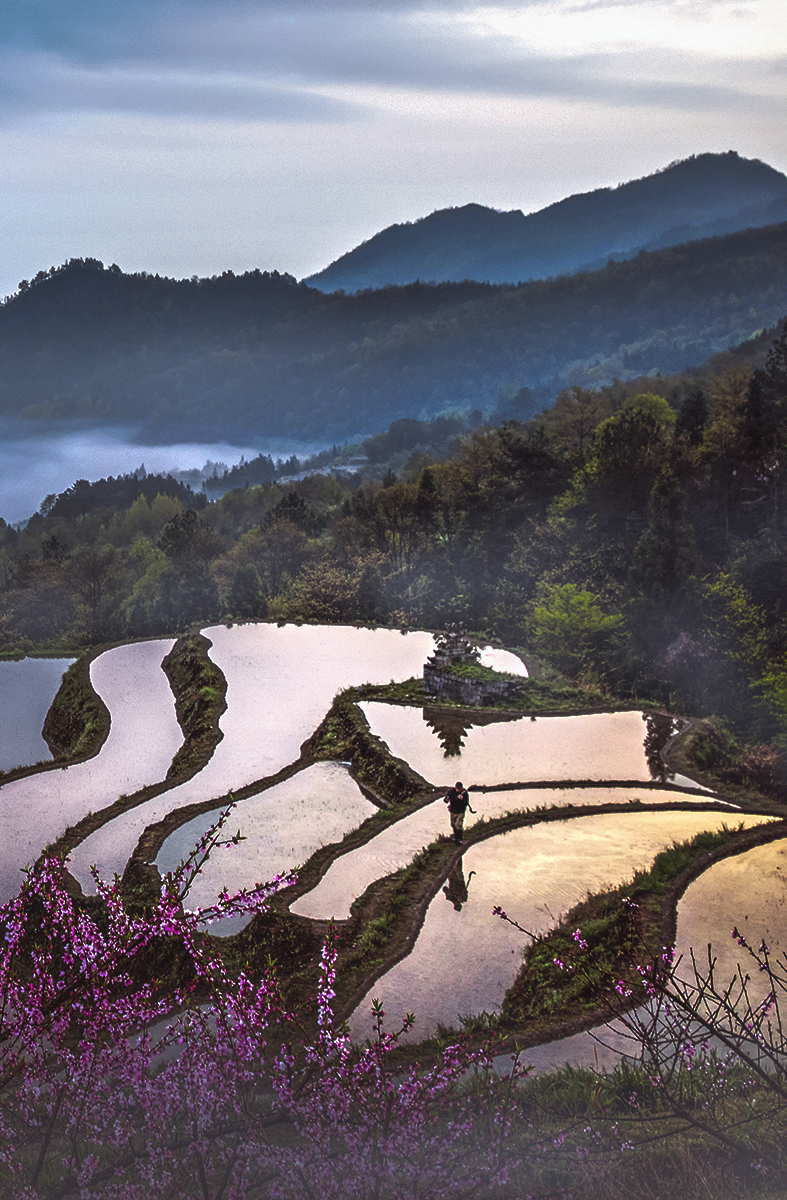 春早小景