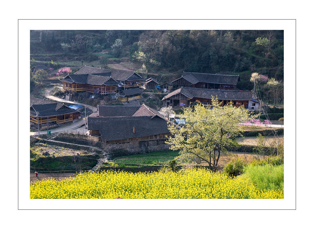春到山村