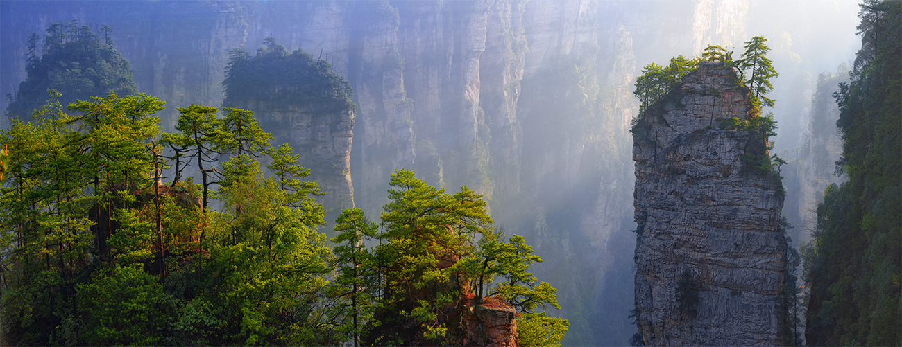 晨霞沐松