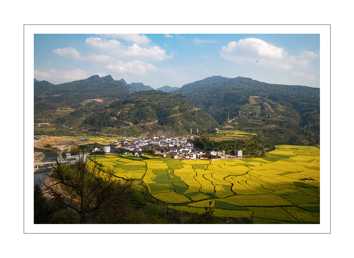 乡村新貌