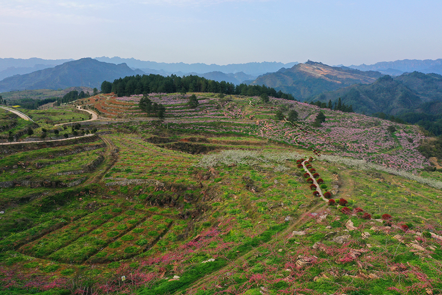 教字垭三龙基地