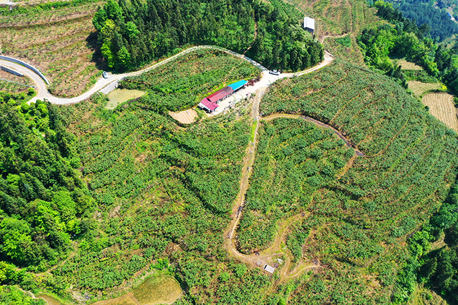 罗水大明基地