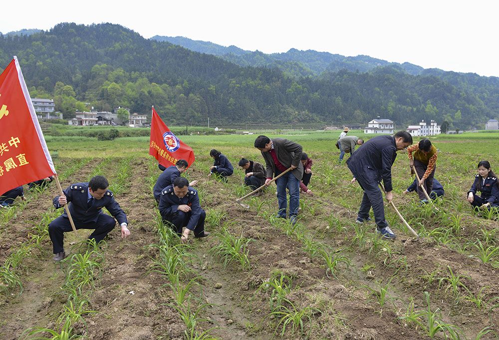 《精准扶贫税务小分队》