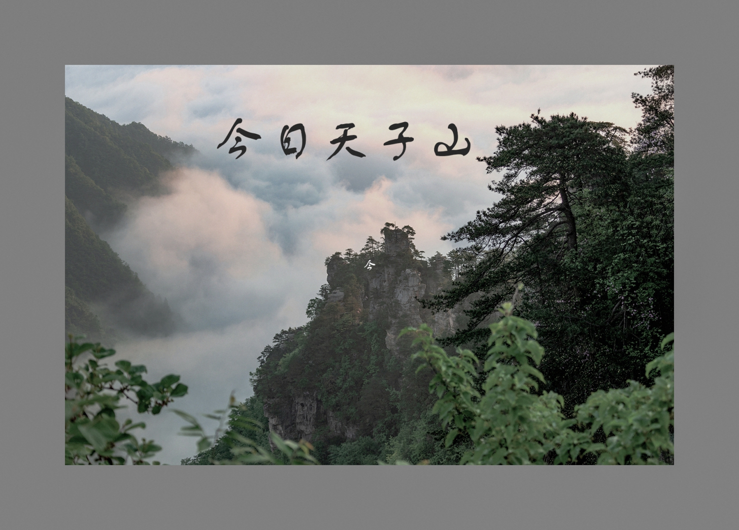 今日天子山