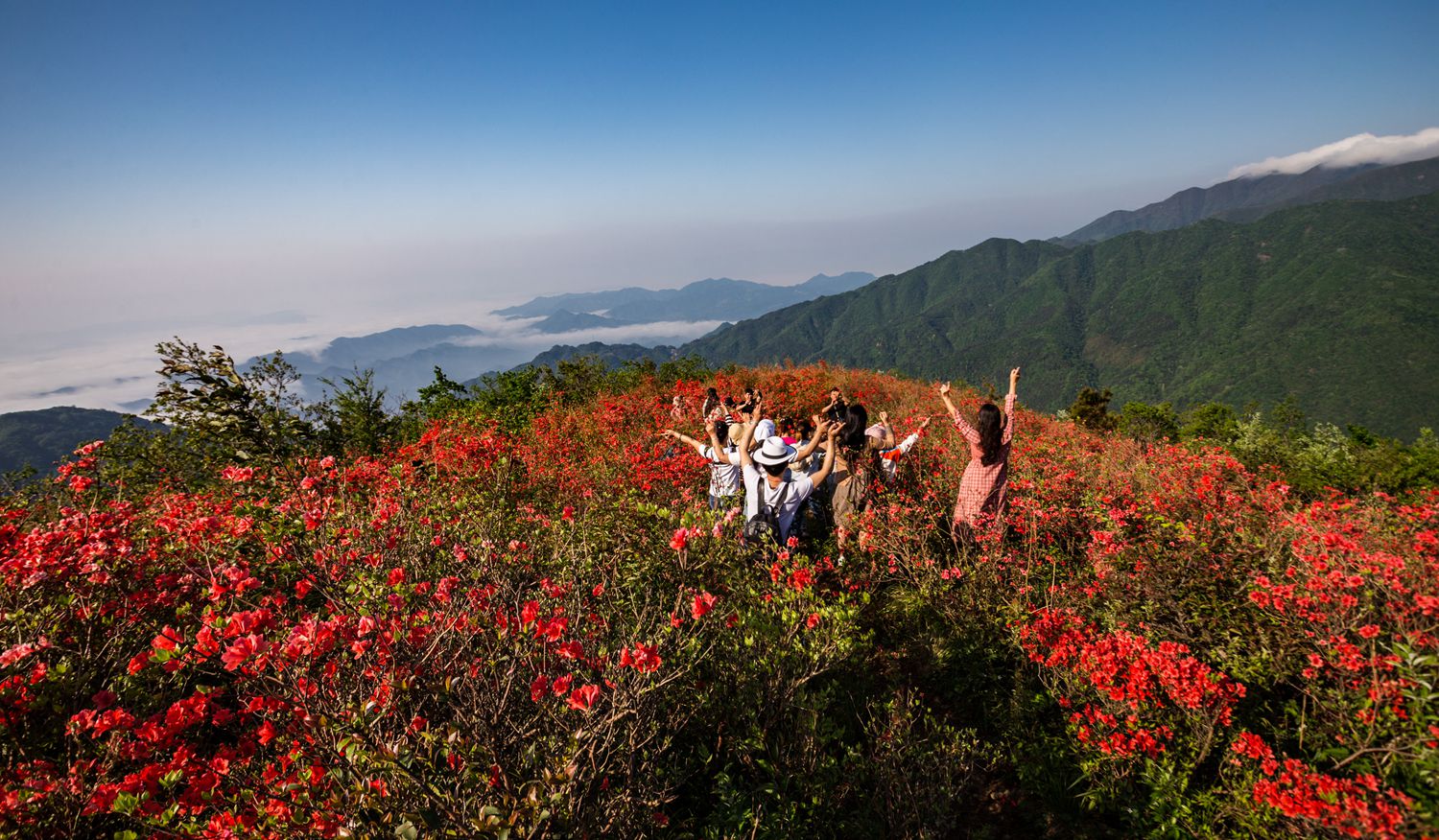 大熊山上拍抖音