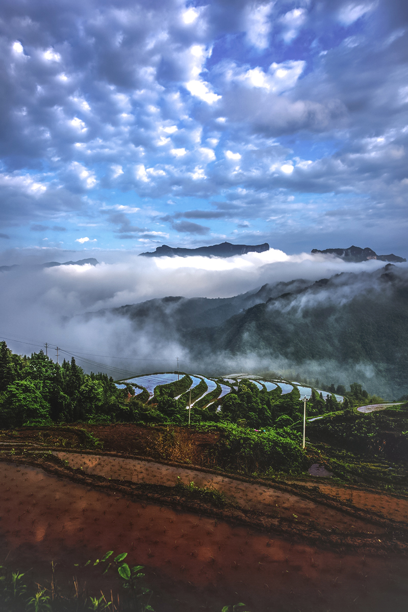 昨日丁家界小景