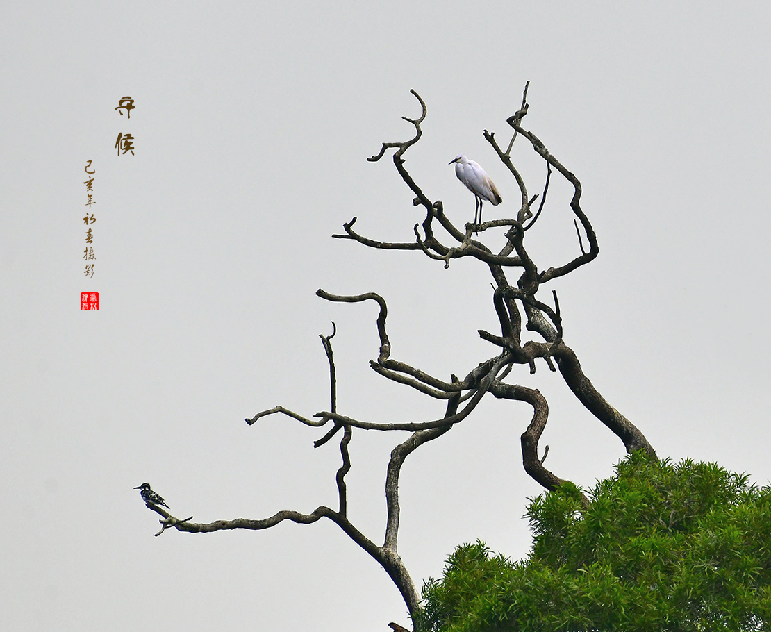 守候