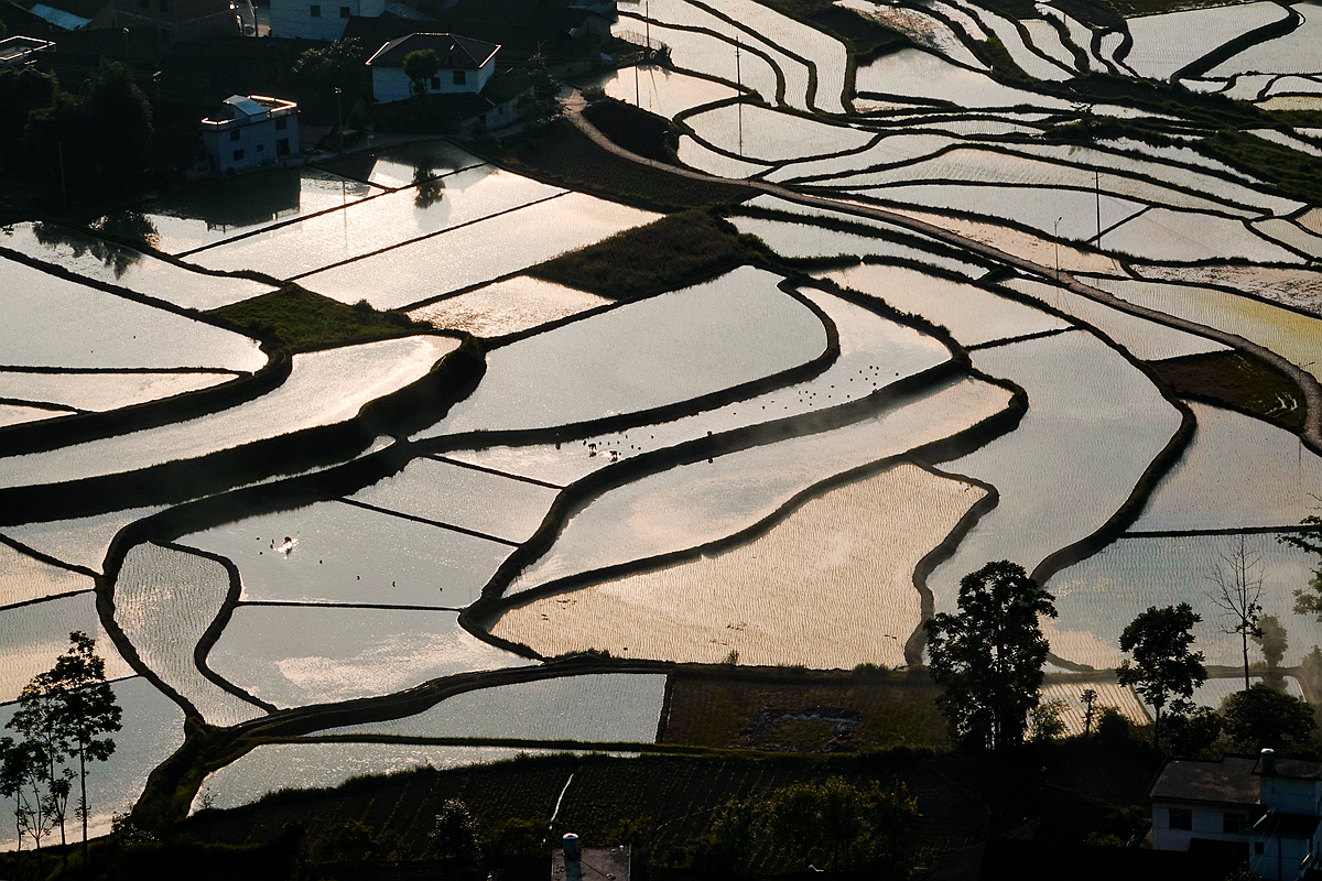 田园风光