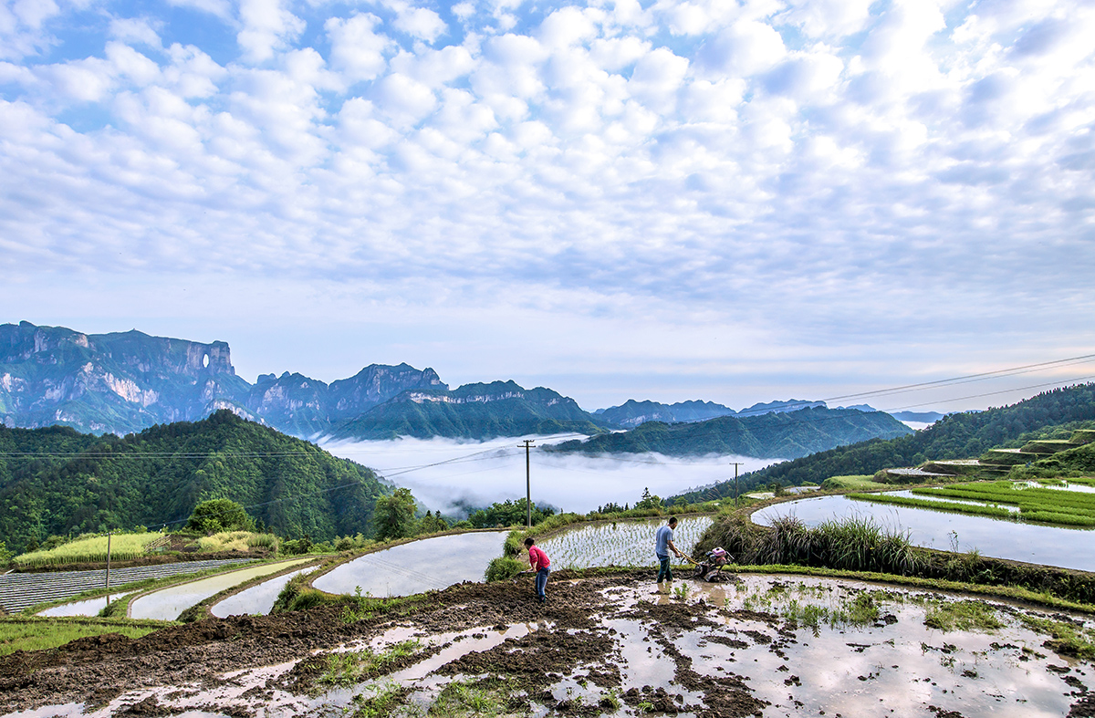 美丽家园