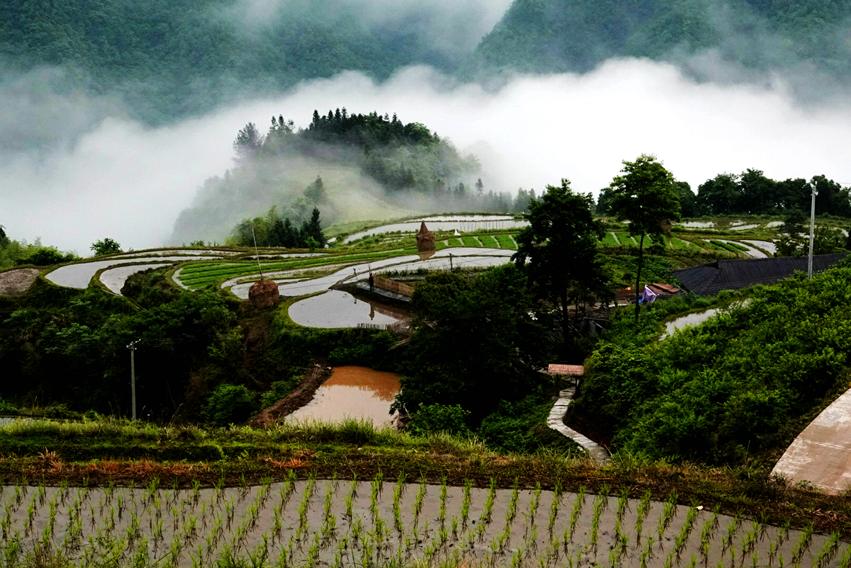 田园风光