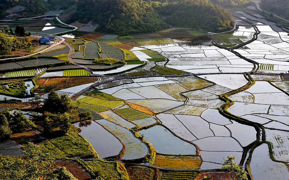 田园好风光