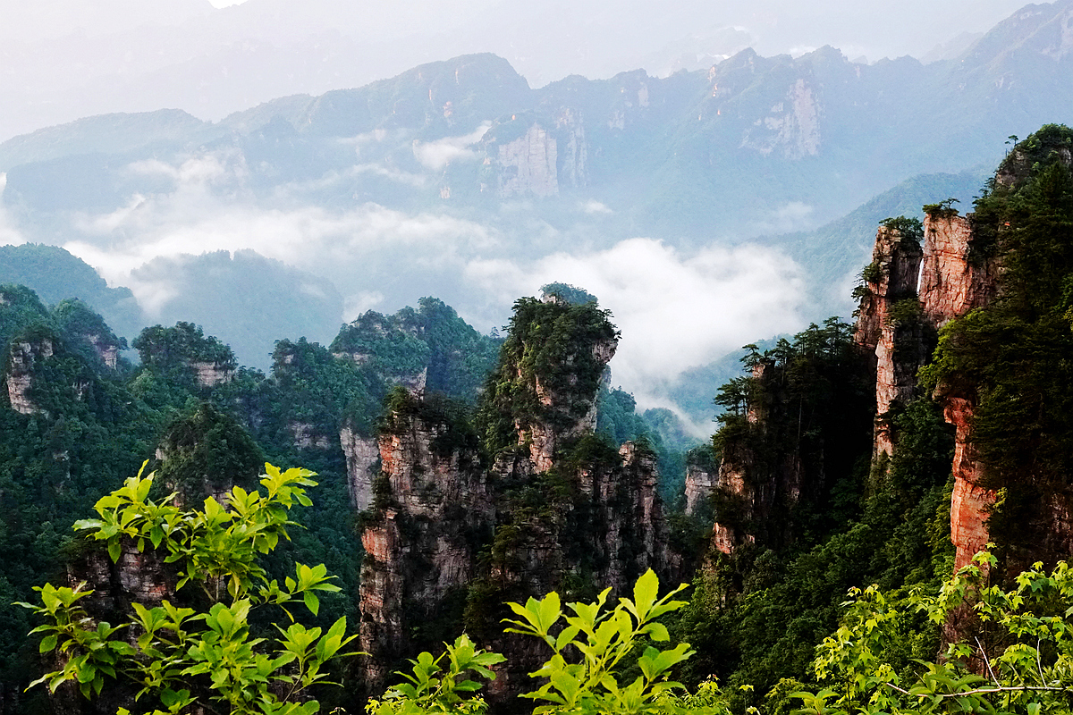 杨家界