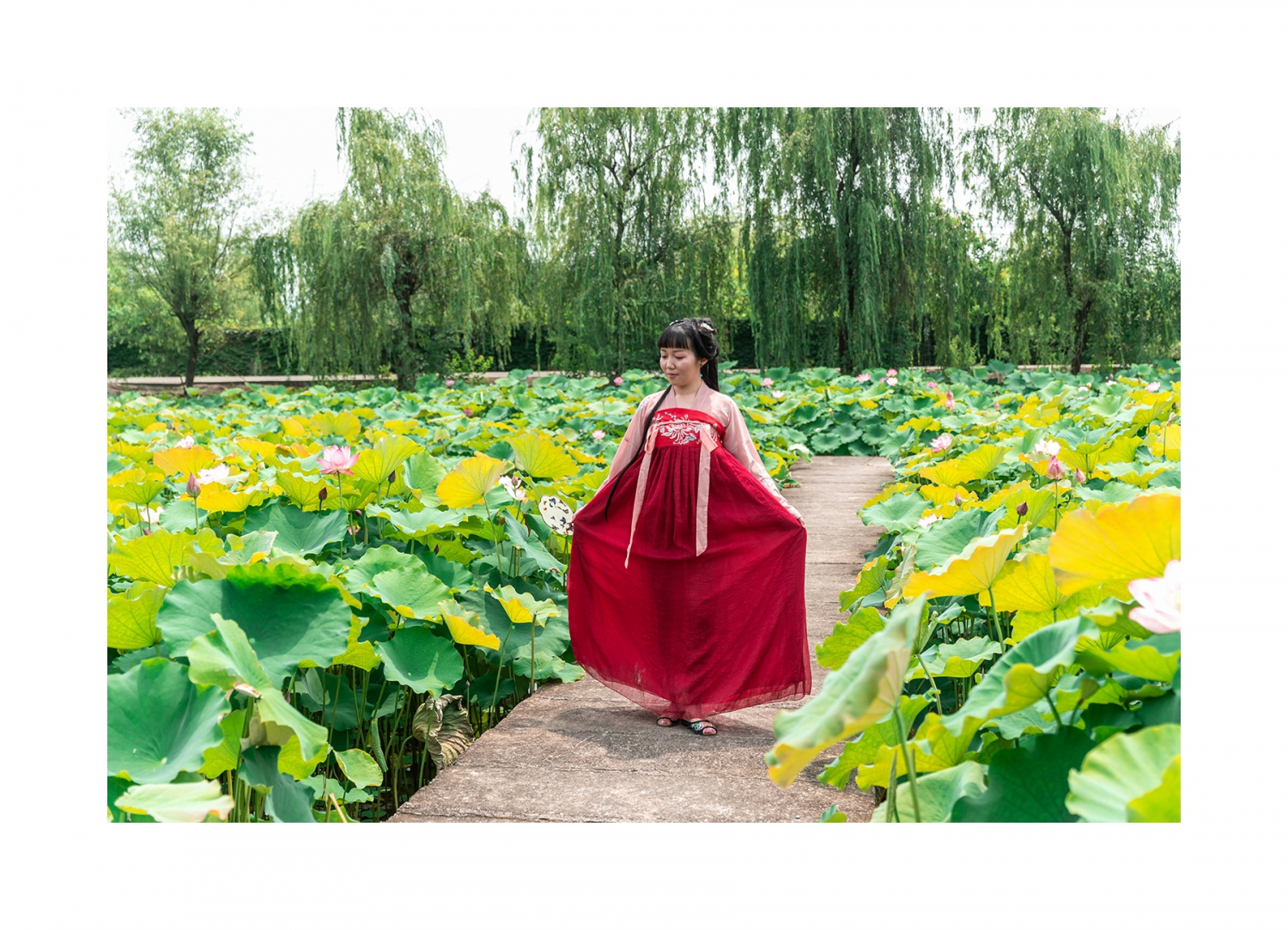 她从花中来