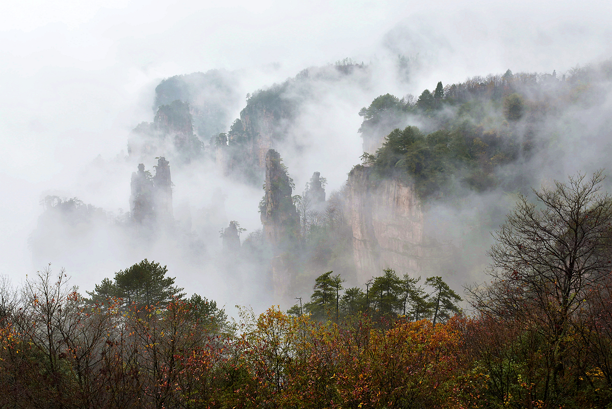 天子山.秋