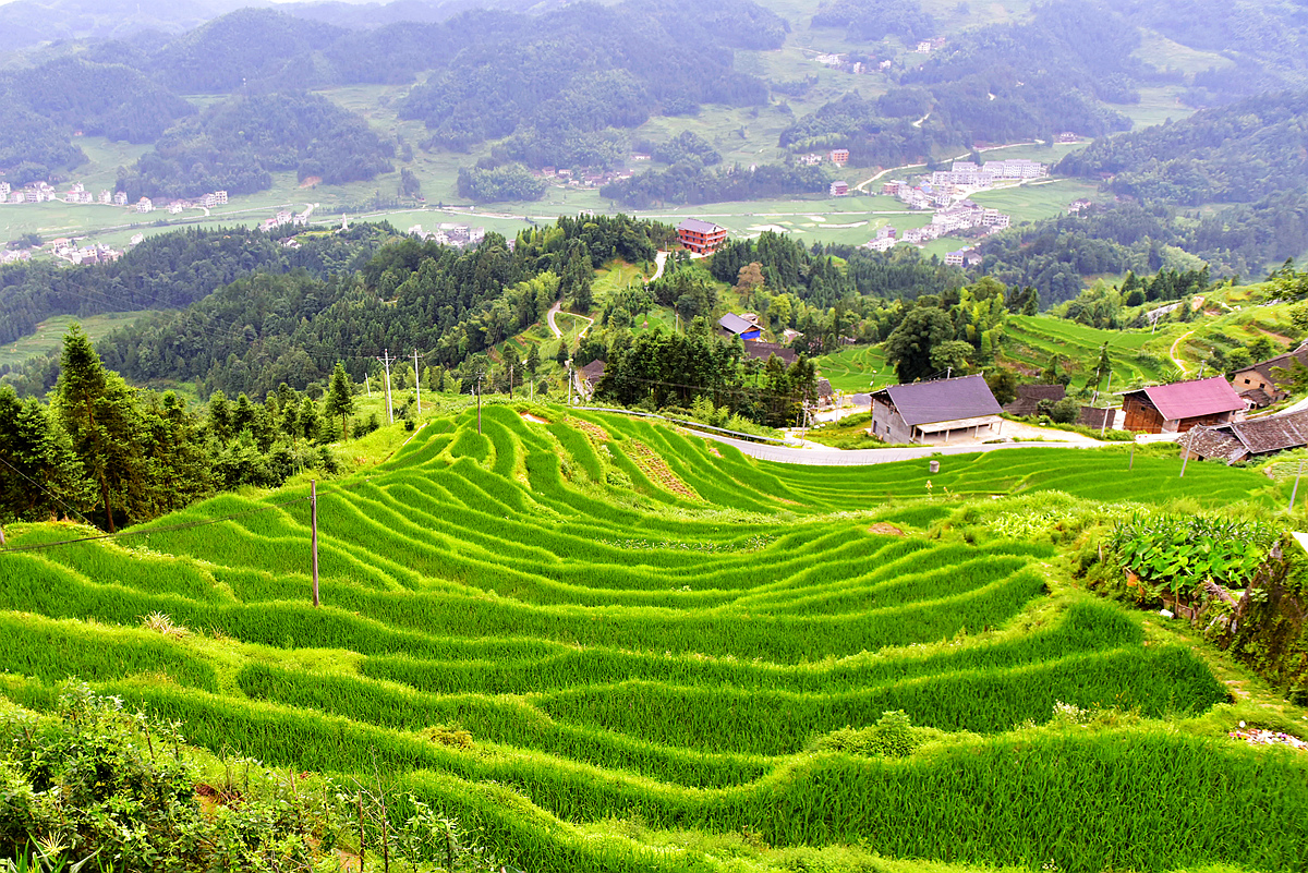 梯田深处是家园