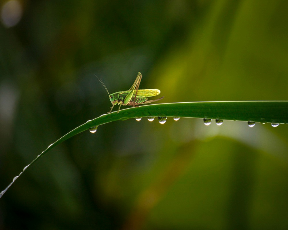 雨后