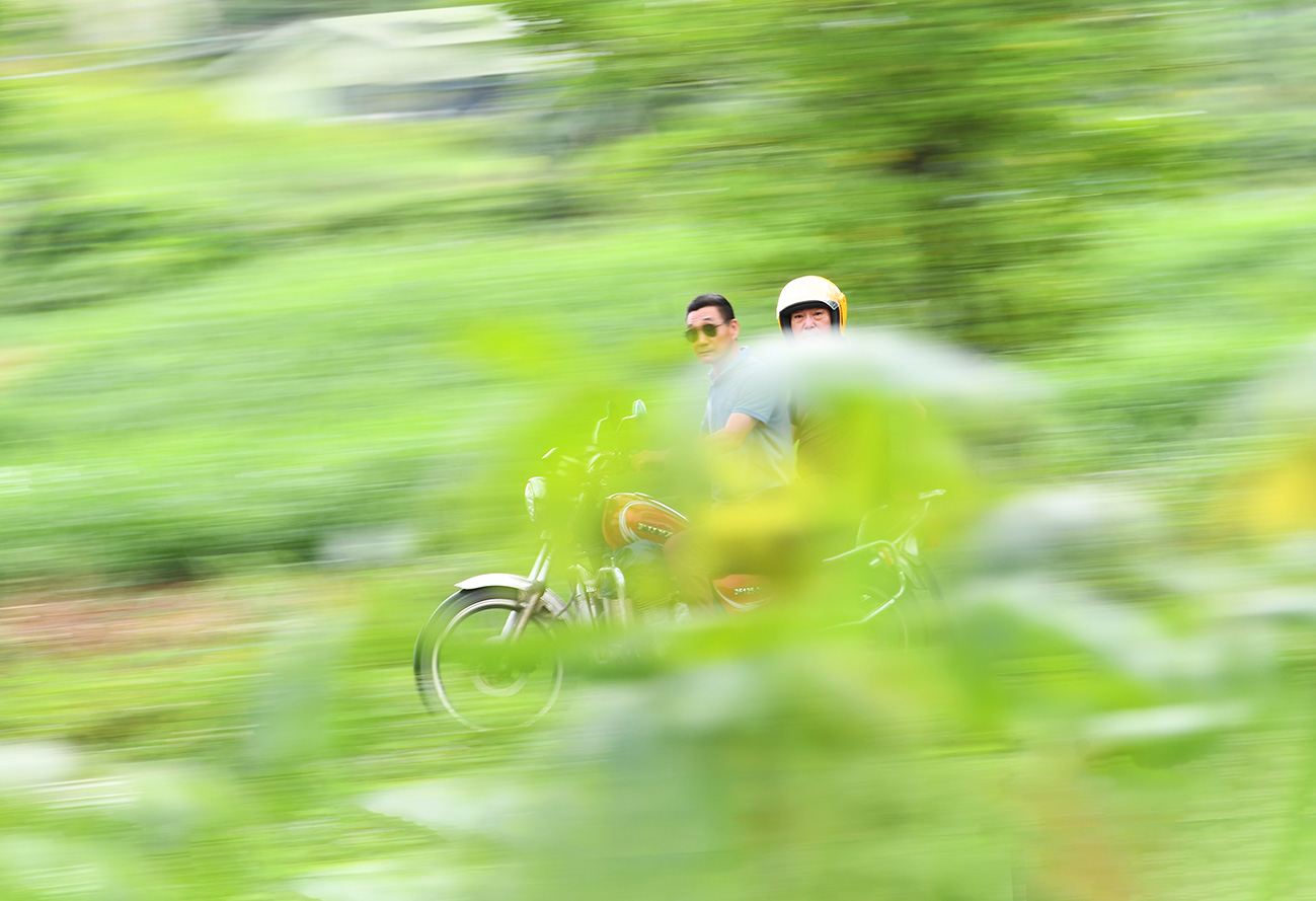 村道风景