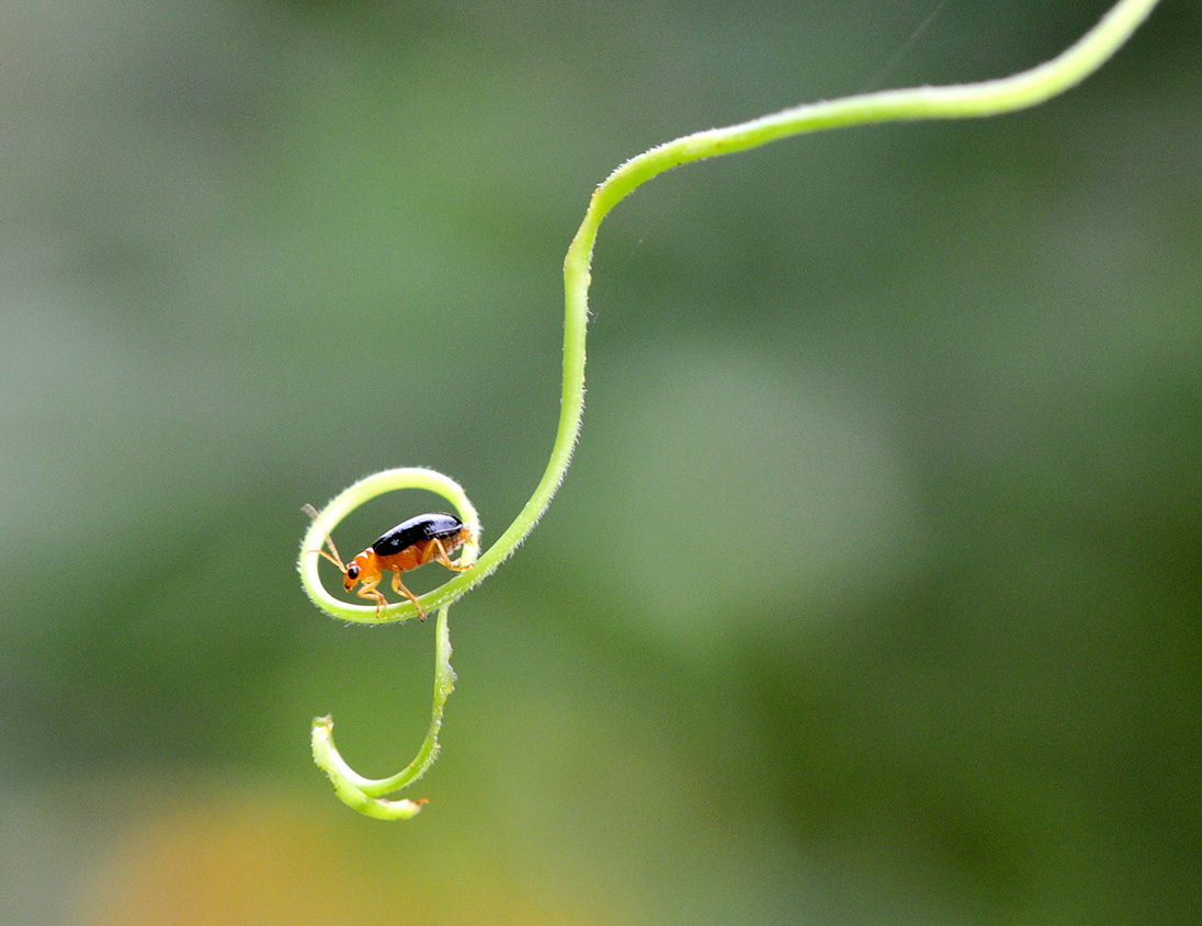 蜗居