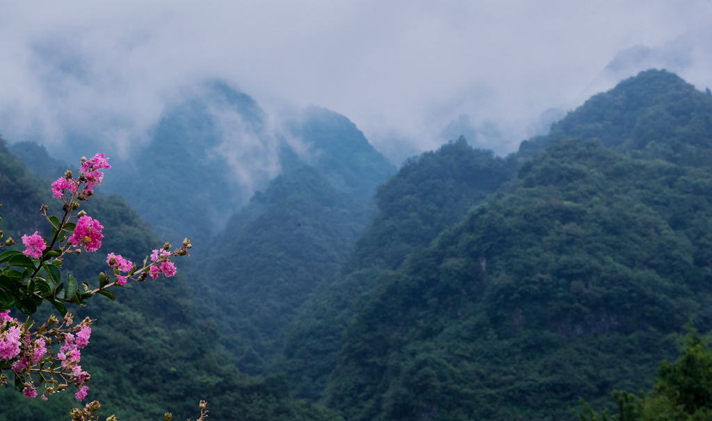 风景独好