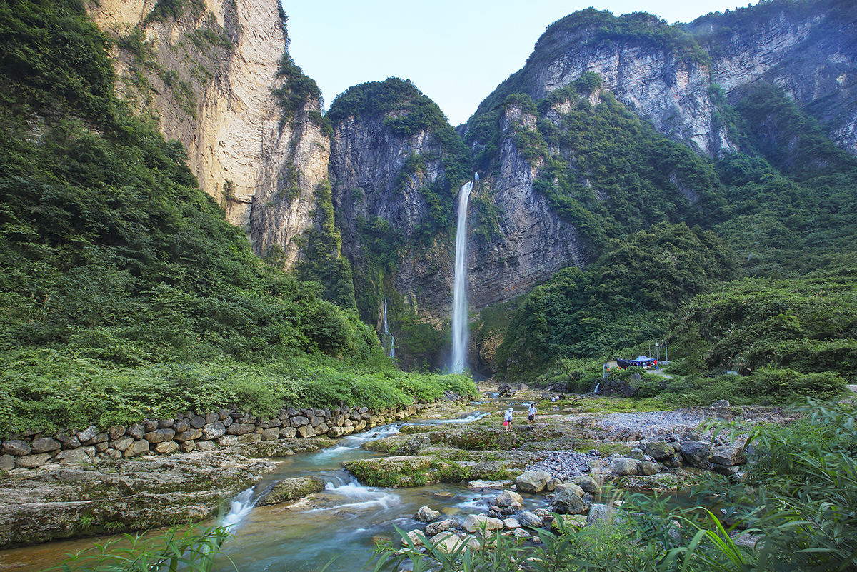 深山闺秀尖杂杂