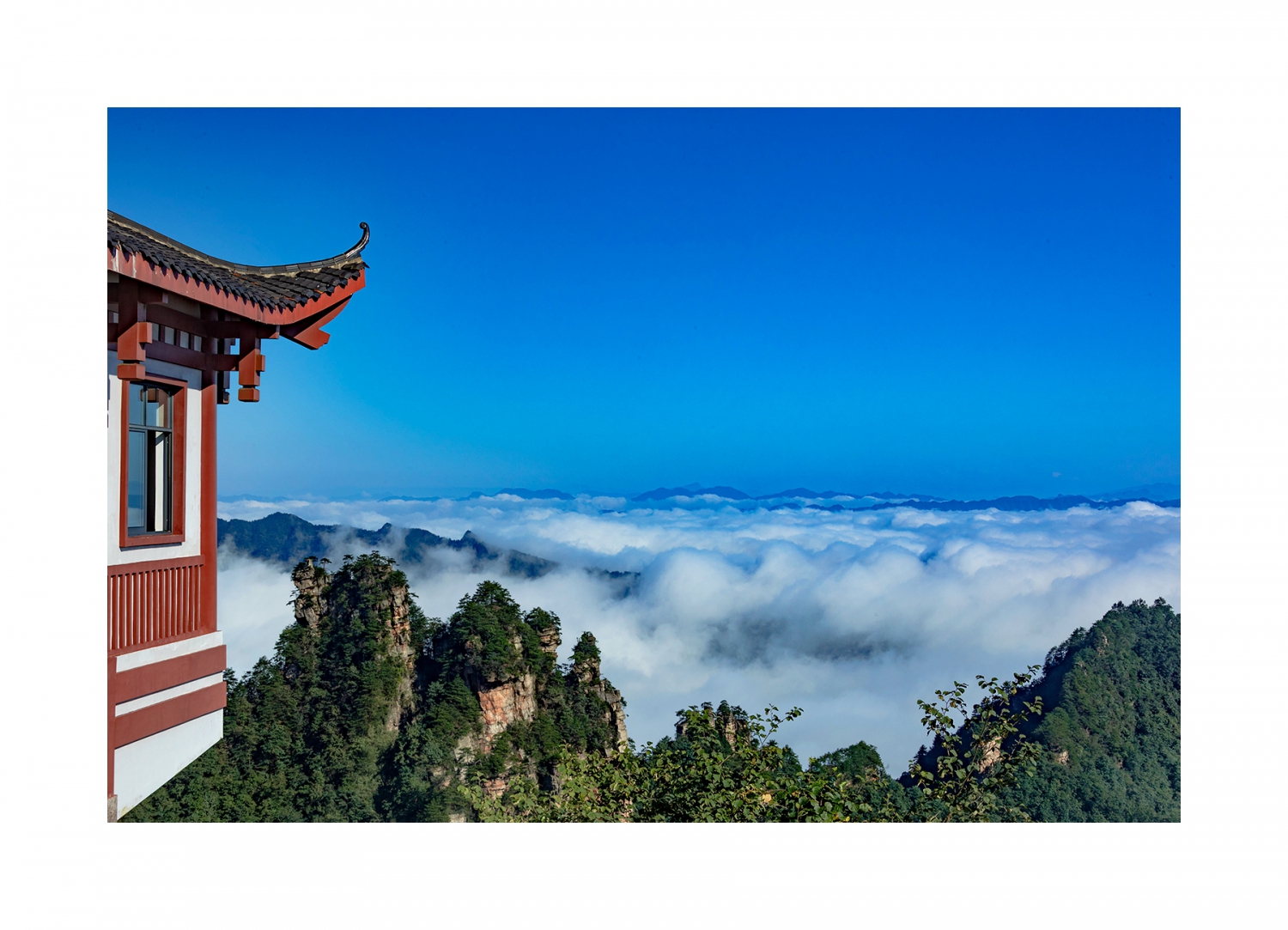 今日天子山