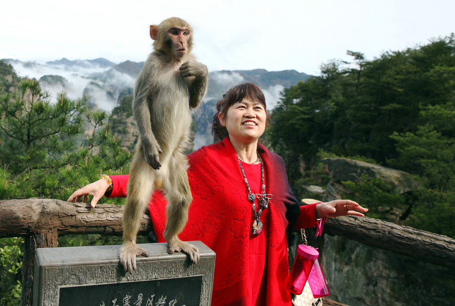 认真与你合个影