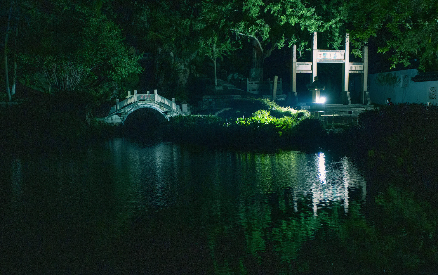 亭林夜画