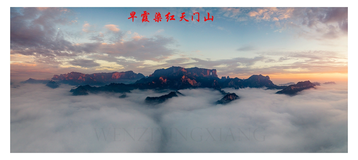 无题