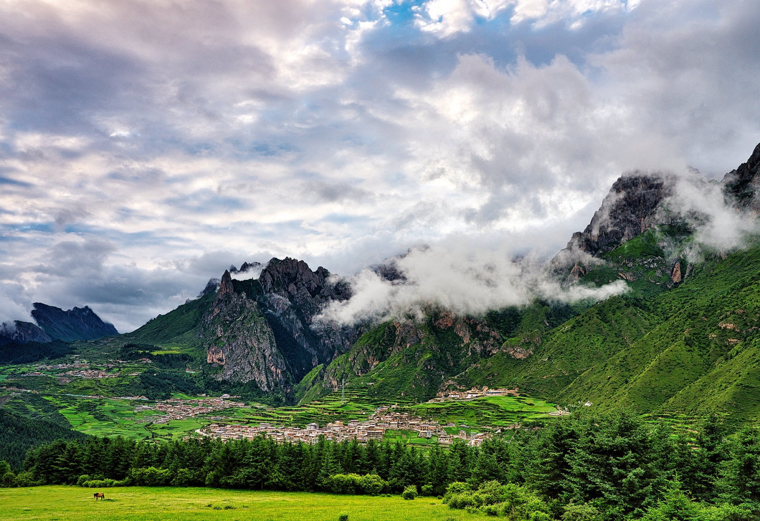 山寨新雨后