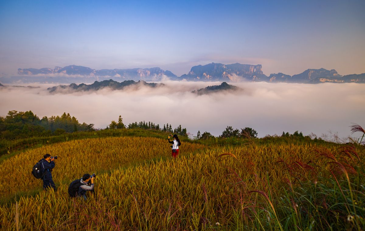 拍美景