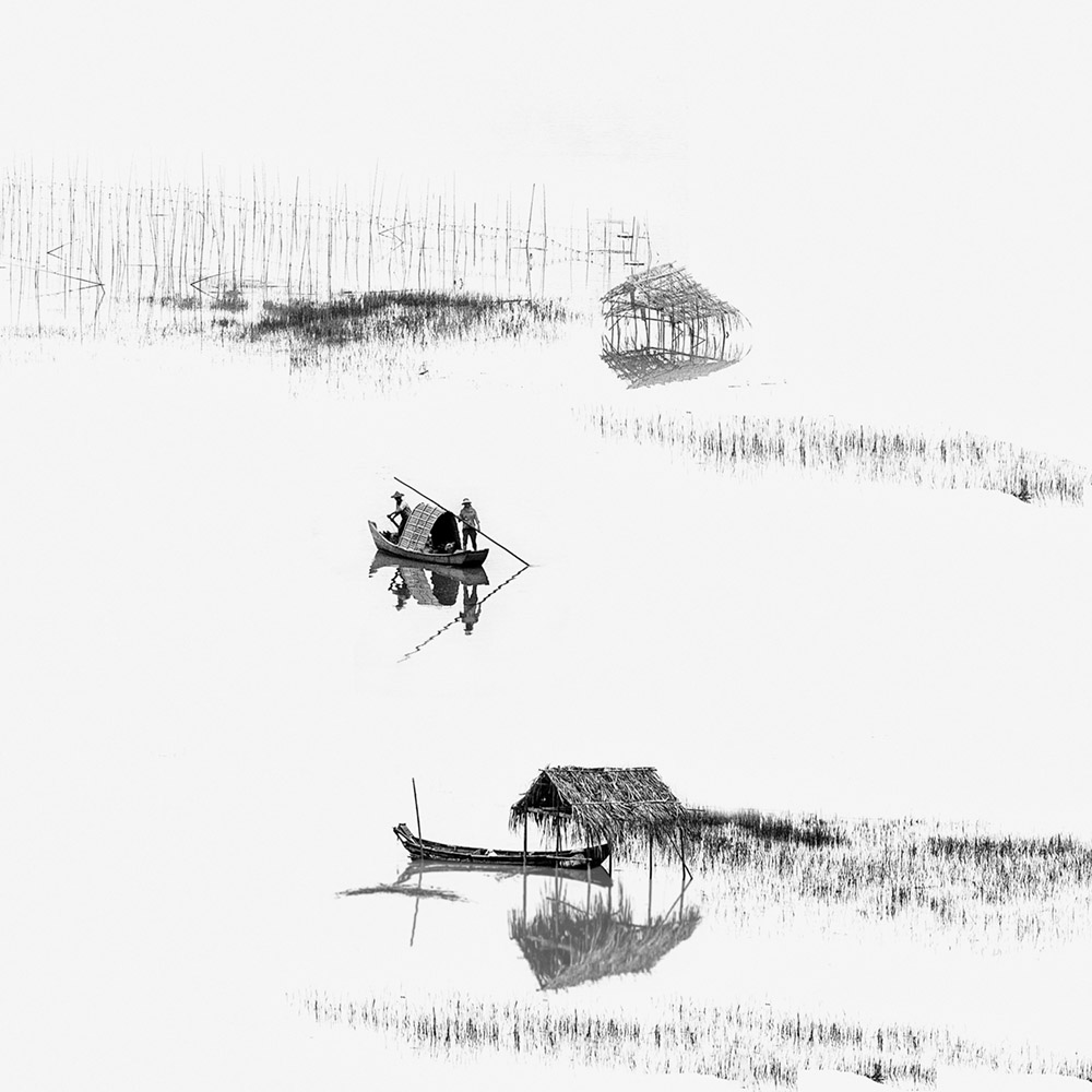 满湖柔波