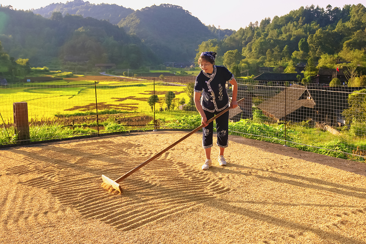 秋天的味道