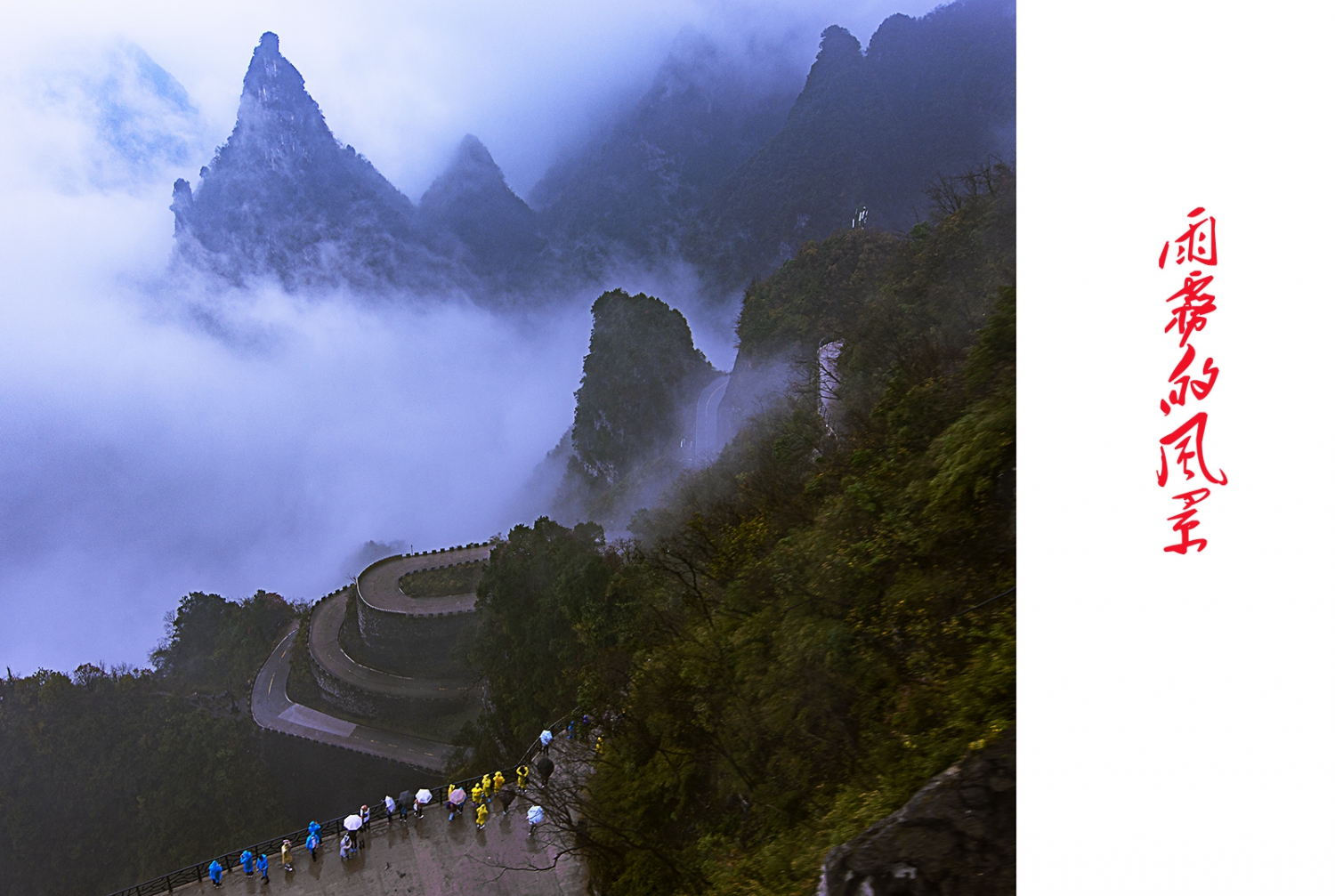 雨雾的风景